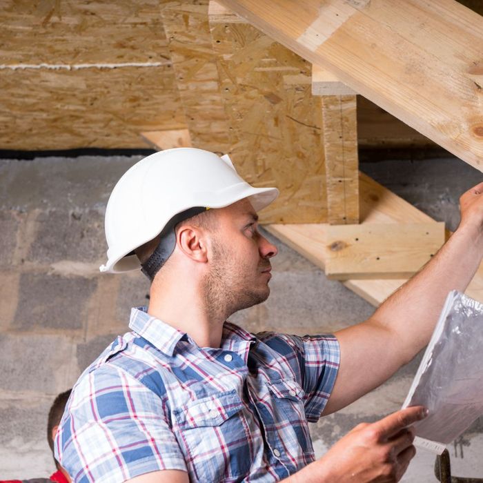 Granada Hills Pest Extermination Services Why Us? Bad Termite